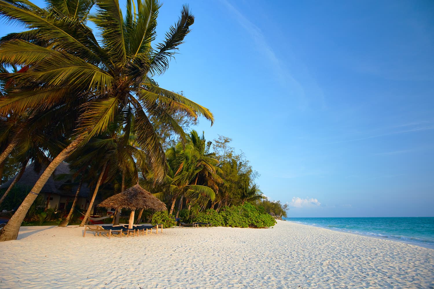 Discover Bwejuu Beach: Zanzibar's Peaceful Coastal Paradis