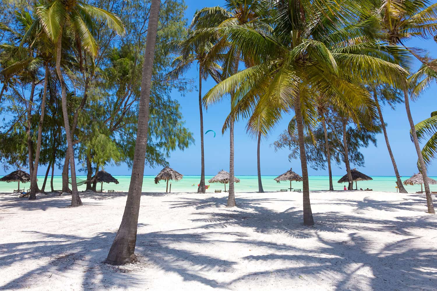 Discover Paje: Zanzibar's Adventure & Beach Paradise